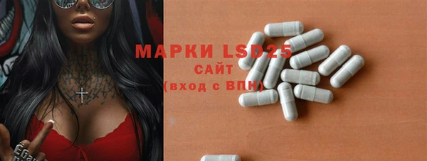 ГАЛЛЮЦИНОГЕННЫЕ ГРИБЫ Белокуриха