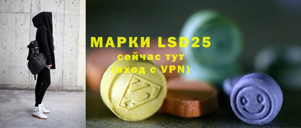 ГАЛЛЮЦИНОГЕННЫЕ ГРИБЫ Белокуриха
