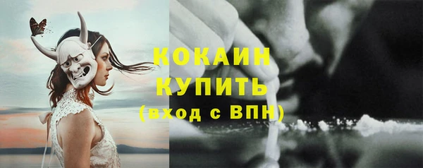 дживик Белоозёрский