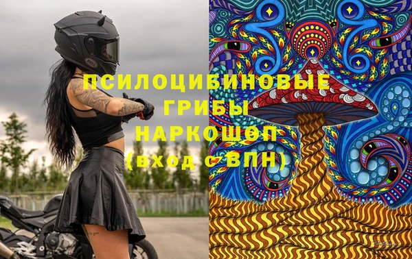 дживик Белоозёрский