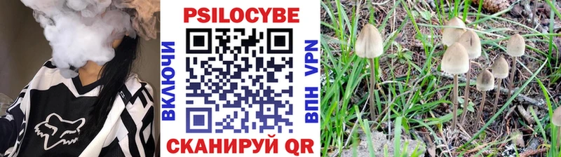 ссылка на мегу ссылки  Оха  Псилоцибиновые грибы прущие грибы  дарнет шоп 